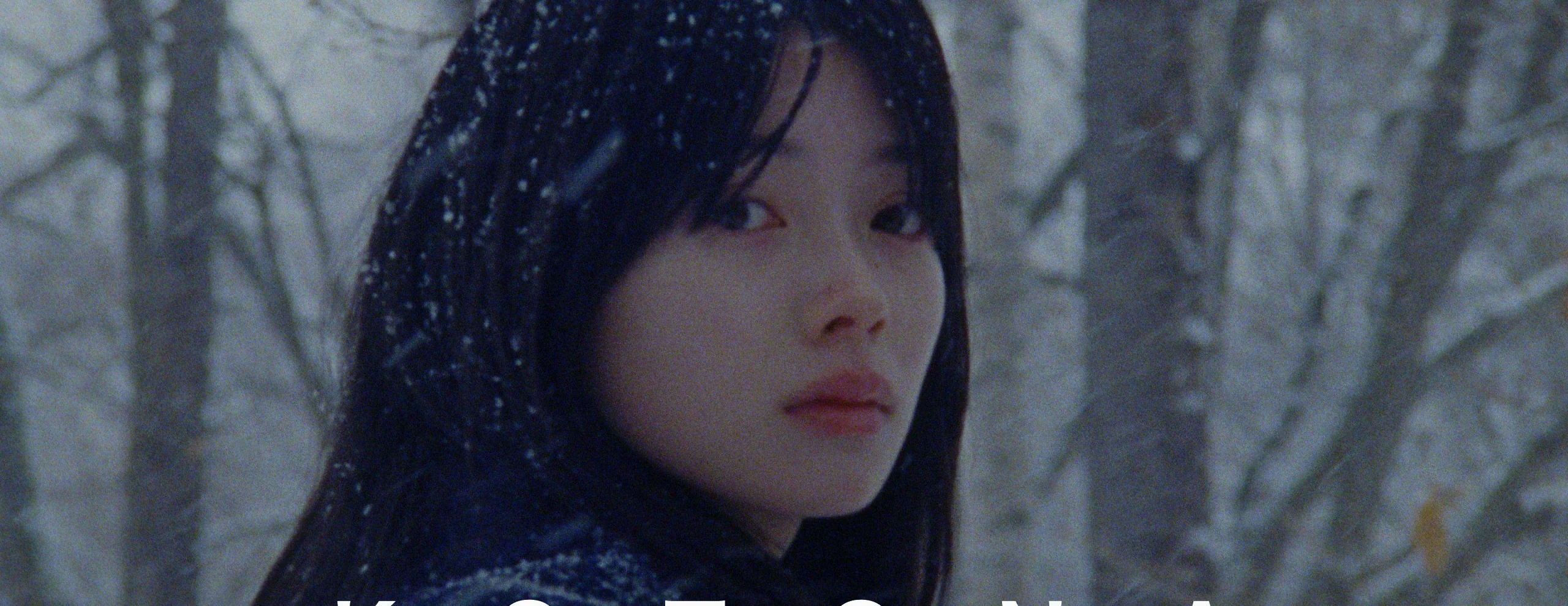 Kotona Minami as the Writer