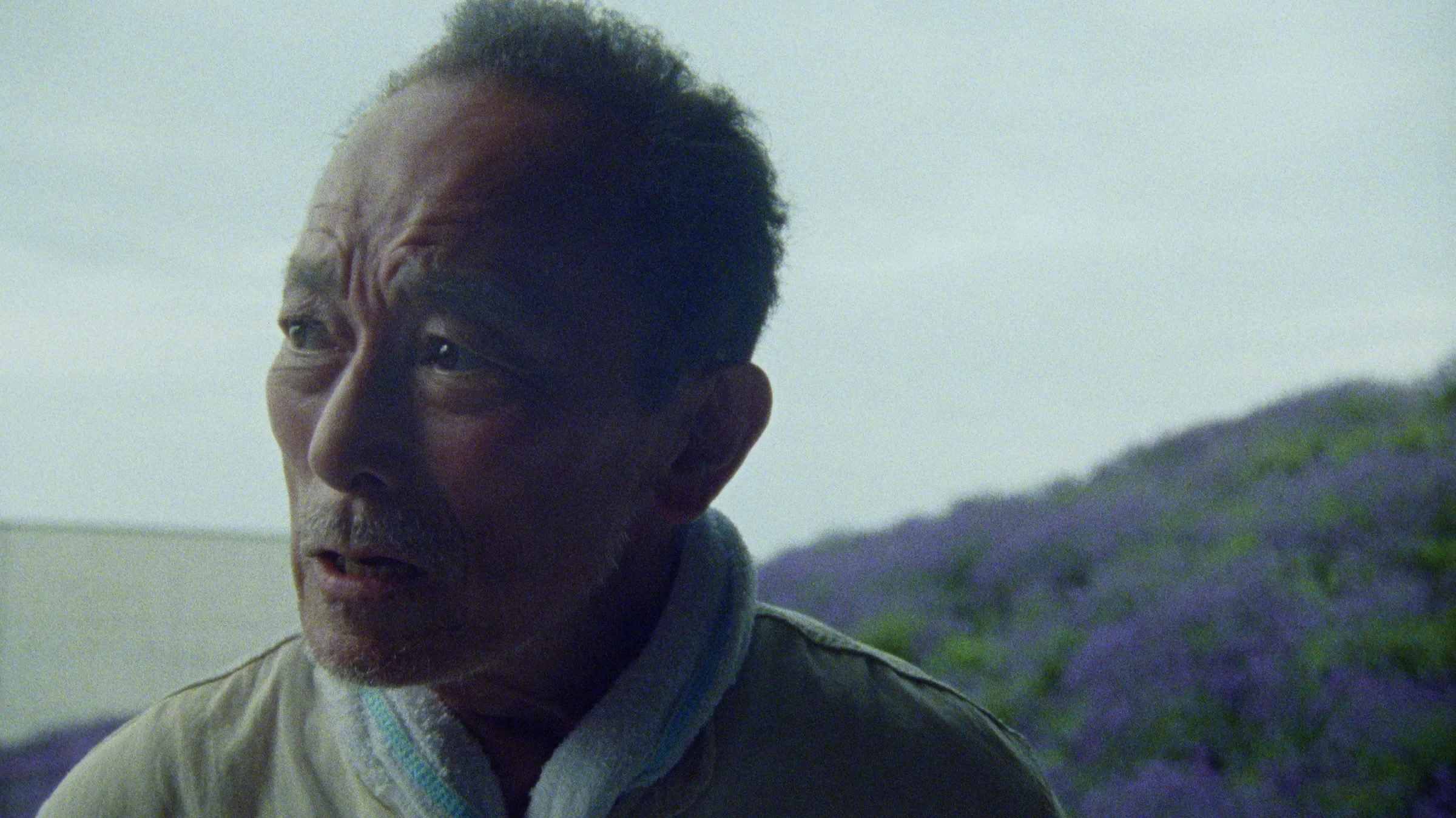 Sakae Kimura as the Old Painter
