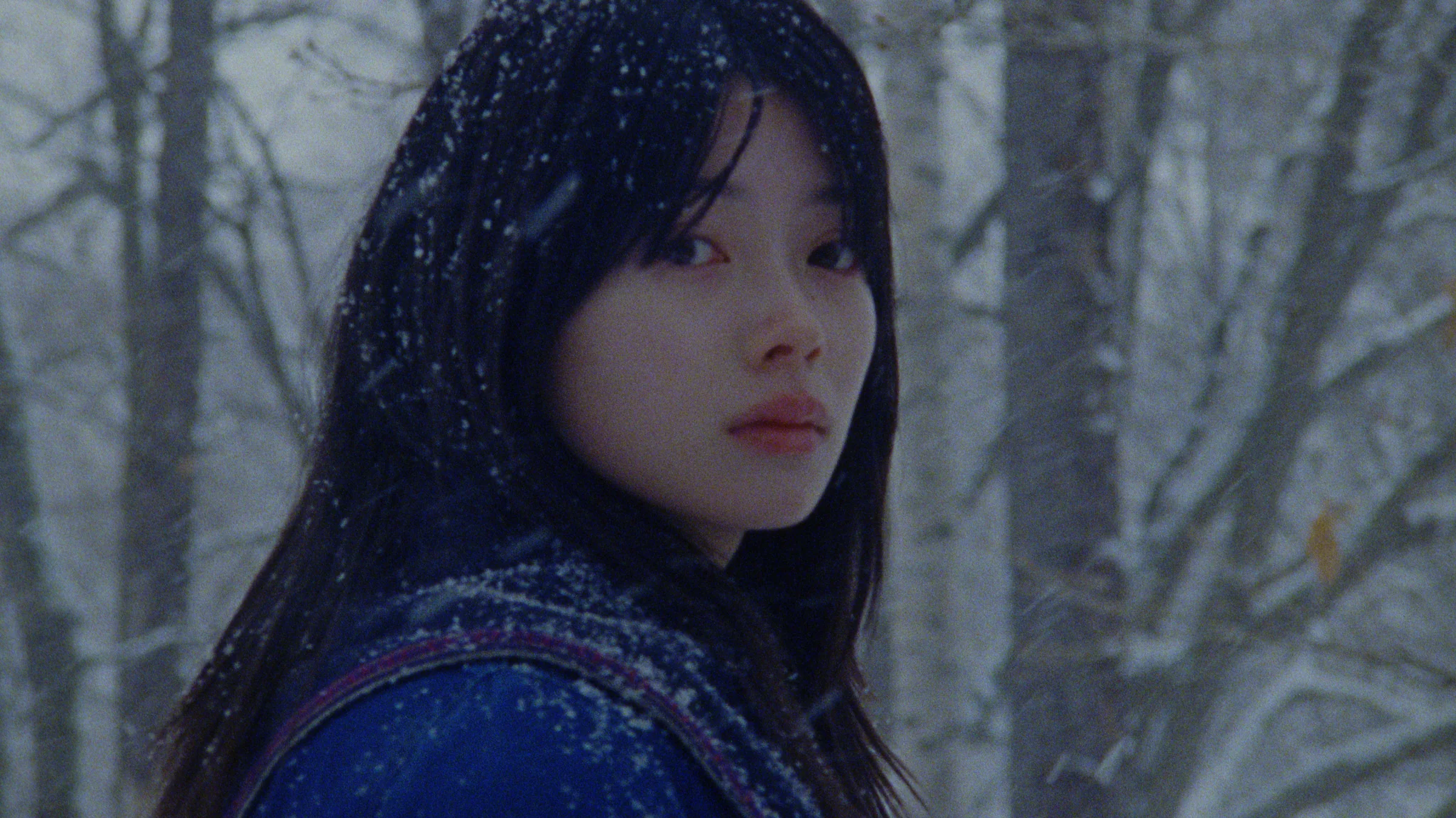 The writer standing in falling snow